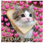 L̶a̶z̶y̶s