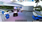 car game fans