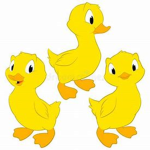 cute ducky