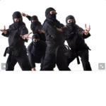 Black Fighting Ninjas Association