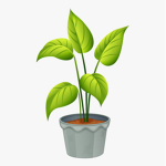 ~Plant vibe~