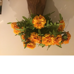 FlowerBudsUnderThirteens