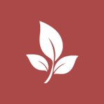 Rosemere Academy
