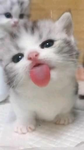 ｄａｎｇｅｒ シ