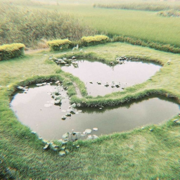 ✩°🌿💚✮˚