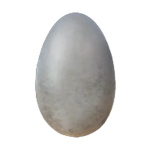 x1EGG Studio