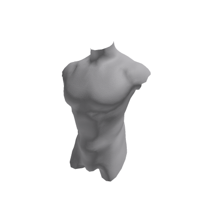 Torso