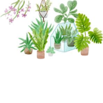 Find the plants!