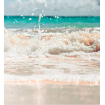 (Ocean)~