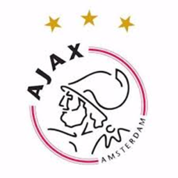 Ajax Main Pitch