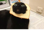 ¿?bread