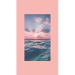 Stella's Butterflys