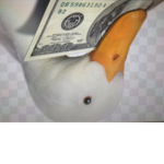 THE OFFICAL DUCK EMPIRE