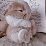adorableangels