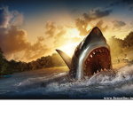 Shark The spy ninjas