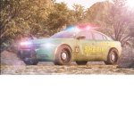ERLC Roleplay Server