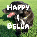 happy&bella