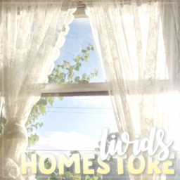 aesthetic homestore v1