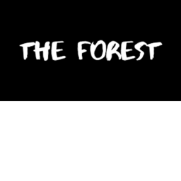 forrest gun war