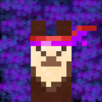 Ninja Llama Club