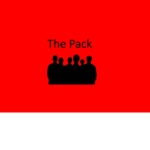 #Ice Nation / roblox team