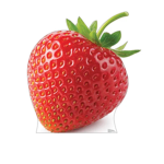 Valley strawberry’s