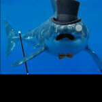 𝓯𝓻𝓮𝓪𝓴𝔂 shark saving