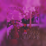 Teddyzplayz