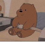 Aesthetics bears