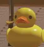 Duckzzzz