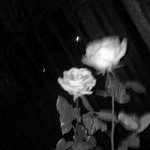 . S3NCITY .