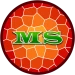Mosaic Survival: Realistic Edition icon
