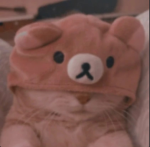 .*bearz*.