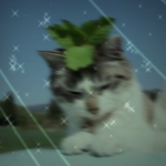 <3 little leafz <3