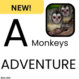 A Monkeys Adventure