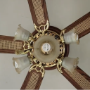 Destroy Ceiling Fans