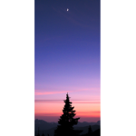 엘의 그룹