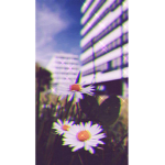 XxLilixx