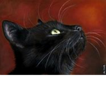 blue_cats_clothes