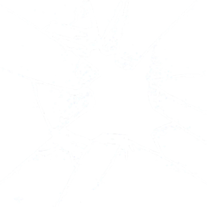Big Hole/Crack Transparent Roblox decal