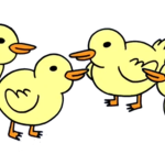 duck.png