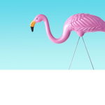 unite for flamingo