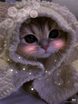 im a princess la la
