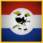 Chin National Army