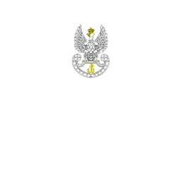 CSTDF icon
