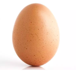The World Record Egg