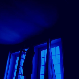 - 𝘊𝘢𝘳𝘵𝘦𝘳 𝘙.