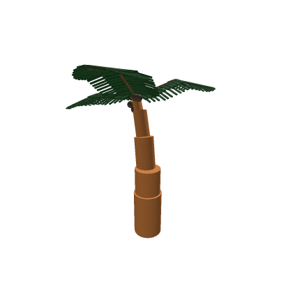 Fruited Coconut Tree