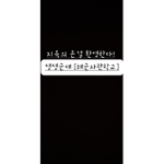 댕댕 군대