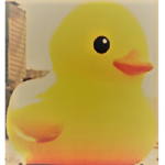 #MLG Ducks#